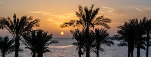 pôr do sol em uma praia tropical com palmeiras foto