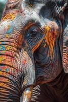 indiano elefante com colorida pintura durante holi foto