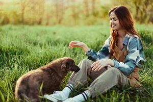 mulher alegremente sorridente às jogando com dela pequeno cachorro ao ar livre em fresco verde Relva dentro a verão brilho do sol dela e dela cachorro saúde, saúde conceito e oportuno tratamento para insetos carrapatos e Carraça pulgas foto