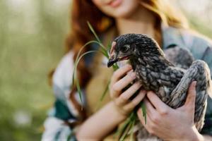 menina segurando uma cinzento frango dentro fechar-se em uma Fazenda dentro uma Castanho avental em uma ensolarado dia foto