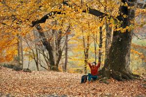 mulher dentro outono floresta sentado debaixo uma árvore com amarelo folhas panorama parque modelo foto