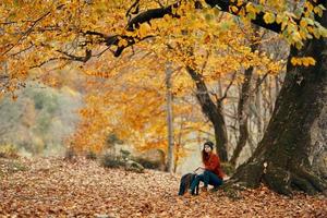 mulher com mochila dentro a parque e caído folhas panorama alta grande árvore outono foto