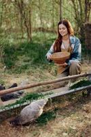 mulher agricultor sorrisos e derrama Comida para a pássaros às a pássaro alimentador às a frango Fazenda foto