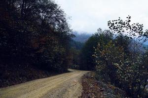 floresta montanhas outono rio viagem natureza panorama foto