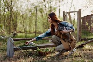 uma mulher em uma Fazenda segurando uma frango e sorridente uma feliz sorrir em a orgânico Fazenda dentro a verão pôr do sol foto