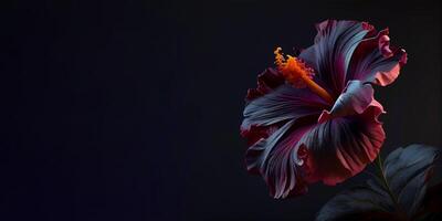 Sombrio petúnia flor dentro Preto fundo ai gerado foto