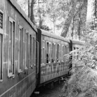 shimla, Himachal Pradesh, Índia - marcha 14, 2023 - brinquedo trem kalka-shimla rota, comovente em estrada de ferro para a colina, brinquedo trem a partir de kalka para Shimla dentro Índia entre verde natural floresta foto