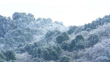 a lindo congeladas montanhas Visão coberto de a branco neve e gelo dentro inverno foto