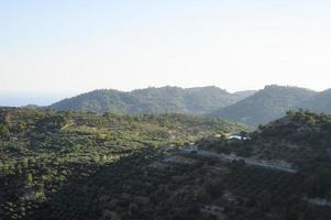 paisagem de área montanhosa com plantações de oliveiras foto