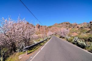 vista panorâmica da estrada foto