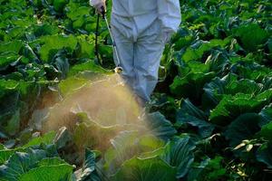 jardineira com roupa de proteção e máscara borrifando plantas foto