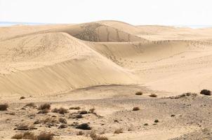 cênico Visão do a deserto foto