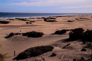 cênico Visão do uma de praia foto