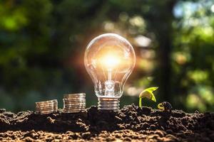 energia conceito. eco poder. lâmpada com dinheiro e jovem plantar em solo luz solar fundo foto