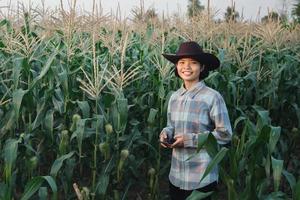 jovem mulher em pé usar Móvel verificação milho dentro Fazenda. tecnologia agricultura conept foto