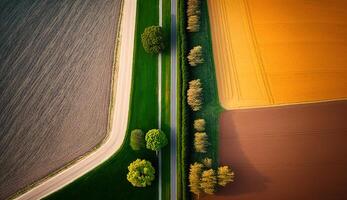 generativo ai, Fazenda paisagem, agrícola Campos, lindo interior, país estrada. natureza ilustração, fotorrealista topo Visão drone, horizontal bandeira. foto