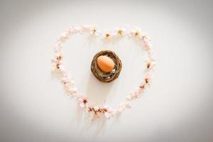 ovo cru de páscoa no ninho com coração de margaridas frescas de primavera em fundo branco foto