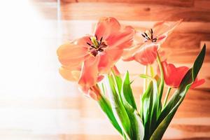 abriu flores de tulipa em uma sala com fundo de parede de madeira foto