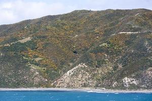 Wellington cidade arredores colorida panorama foto