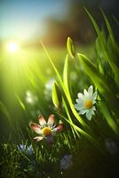 tarde flores e verde Relva criada de generativo ai tecnologia foto