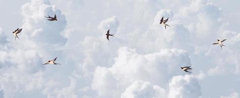 lindo nuvens aéreo Visão céu foto