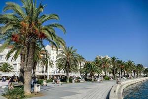 Palma árvores ao longo a costa foto