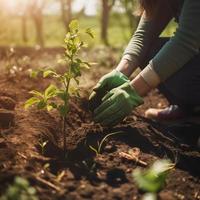 plantio árvores para uma sustentável futuro. comunidade jardim e de Meio Ambiente conservação - promovendo habitat restauração e comunidade noivado em terra dia foto