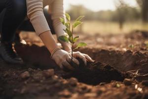 plantio árvores para uma sustentável futuro. comunidade jardim e de Meio Ambiente conservação - promovendo habitat restauração e comunidade noivado em terra dia foto