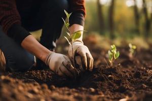 plantio árvores para uma sustentável futuro. comunidade jardim e de Meio Ambiente conservação - promovendo habitat restauração e comunidade noivado em terra dia foto