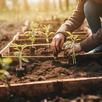 plantio árvores para uma sustentável futuro. comunidade jardim e de Meio Ambiente conservação - promovendo habitat restauração e comunidade noivado em terra dia foto