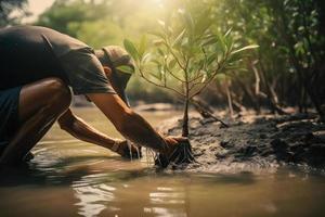 restaurando a litoral comunidade noivado dentro plantio manguezais para meio Ambiente conservação e habitat restauração em terra dia, promovendo sustentabilidade. terra dia foto