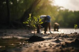restaurando a litoral comunidade noivado dentro plantio manguezais para meio Ambiente conservação e habitat restauração em terra dia, promovendo sustentabilidade. terra dia foto