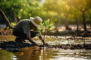 restaurando a litoral comunidade noivado dentro plantio manguezais para meio Ambiente conservação e habitat restauração em terra dia, promovendo sustentabilidade. terra dia foto