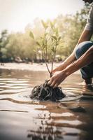 restaurando a litoral comunidade noivado dentro plantio manguezais para meio Ambiente conservação e habitat restauração em terra dia, promovendo sustentabilidade. terra dia foto