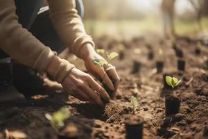 plantio árvores para uma sustentável futuro. comunidade jardim e de Meio Ambiente conservação - promovendo habitat restauração e comunidade noivado em terra dia foto