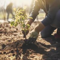 plantio árvores para uma sustentável futuro. comunidade jardim e de Meio Ambiente conservação - promovendo habitat restauração e comunidade noivado em terra dia foto