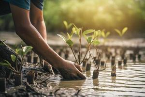 restaurando a litoral comunidade noivado dentro plantio manguezais para meio Ambiente conservação e habitat restauração em terra dia, promovendo sustentabilidade. terra dia foto