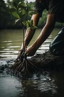 restaurando a litoral comunidade noivado dentro plantio manguezais para meio Ambiente conservação e habitat restauração em terra dia, promovendo sustentabilidade. terra dia foto