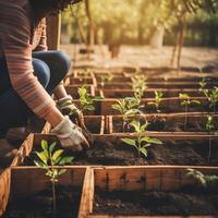 plantio árvores para uma sustentável futuro. comunidade jardim e de Meio Ambiente conservação - promovendo habitat restauração e comunidade noivado em terra dia foto