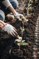 plantio árvores para uma sustentável futuro. comunidade jardim e de Meio Ambiente conservação - promovendo habitat restauração e comunidade noivado em terra dia foto