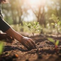 plantio árvores para uma sustentável futuro. comunidade jardim e de Meio Ambiente conservação - promovendo habitat restauração e comunidade noivado em terra dia foto