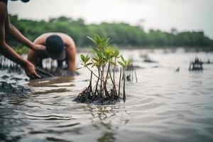 restaurando a litoral comunidade noivado dentro plantio manguezais para meio Ambiente conservação e habitat restauração em terra dia, promovendo sustentabilidade. terra dia foto