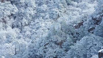 a lindo congeladas montanhas Visão coberto de a branco neve e gelo dentro inverno foto