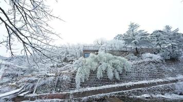 a lindo congeladas montanhas Visão coberto de a branco neve e gelo dentro inverno foto