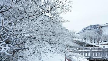 a lindo congeladas montanhas Visão coberto de a branco neve e gelo dentro inverno foto