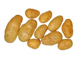 batatas isoladas em um fundo branco