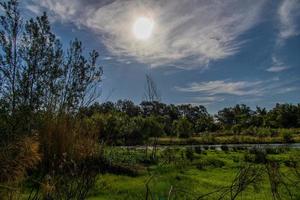 espanhol panorama de a galego rio dentro aragão em uma caloroso verão Sol dia com verde árvores e azul céu foto