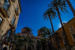 moradias em banda com Palma árvores dentro a cidade do alicante Espanha contra a céu foto