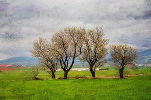Primavera panorama a partir de aragão dentro Espanha com três floração árvores dentro uma nublado dia foto