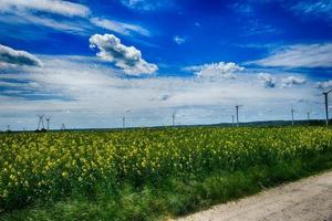 pitoresco Primavera panorama com azul céu e verde Campos foto